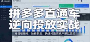 拼多多直通车逆向投放实战：托管精细推，阶梯裂变，快速打造高投产爆款链接-智培资源网