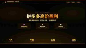 （17779期）拼多多高阶盈利年费会员：全类目活动玩法、原价上大促、洗图防比价等核心盈利技术(更新26年3月)-智培资源网