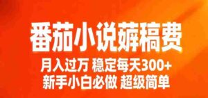 番茄小说赚稿费稳定300+每天，实操落地两年，新手小白必做，超级简单！-智培资源网