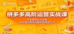 拼多多高阶运营实战课：历年爆款玩法合集，起店强付费救流量全套落地打法-智培资源网