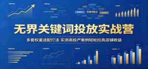无界关键词投放实战营：多套权重适配打法，实测高投产案例轻松拉高店铺收益-智培资源网