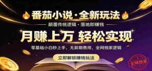 番茄小说5月最新独家玩法，稳定落地实测月入过万！-智培资源网