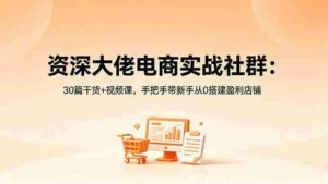 （18529期）资深大佬电商实战社群：30篇干货+视频课，手把手带新手从0搭建盈利店铺-智培资源网