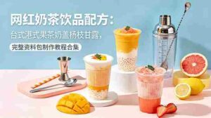 （18557期）网红奶茶饮品配方：台式港式果茶奶盖杨枝甘露，完整资料包制作教程合集-智培资源网