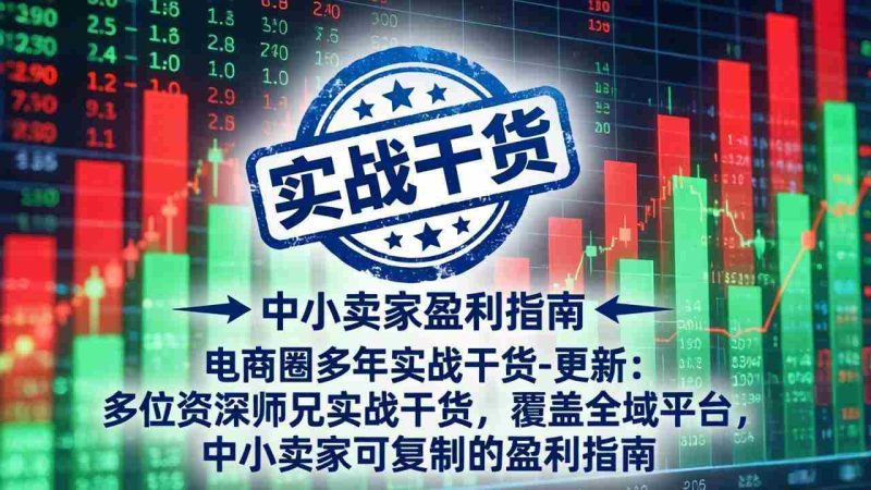 (19447期)电商圈多年实战干货-更新2026:多位资深师兄实战干货/覆盖全域平台,中小卖家可复制的盈利指南-智培资源网